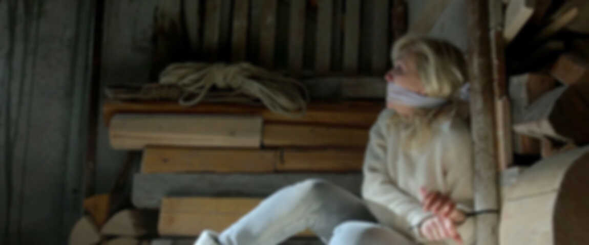 Research Unit (2006) - S15E08 - Neige sang - cover.jpg