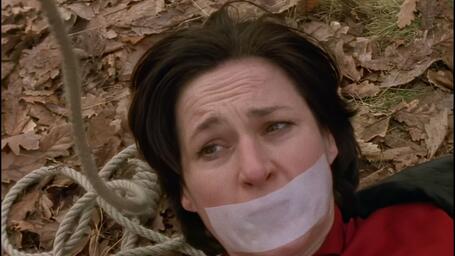 Alarm fur Cobra 11; Die Autobahnpolizei (1996) - S02E07 - Rache ist suss - cover.jpg