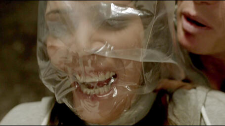 Alarm fur Cobra 11; Die Autobahnpolizei (1996) - S19E06 - Wilde Tiere - cover.jpg