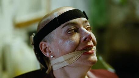 Bugonia (2025) - cover.jpg