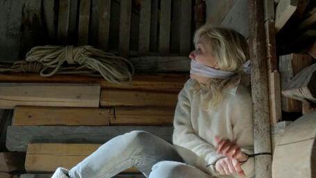 Research Unit (2006) - S15E08 - Neige sang - cover.jpg