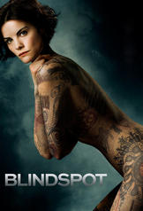 Blindspot (2015)