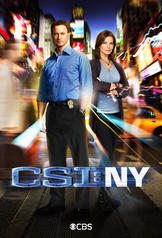 CSI: NY (2004)