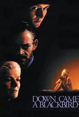 Down Came a Blackbird (1995)