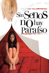 Sin Senos No Hay Paraíso (2008)